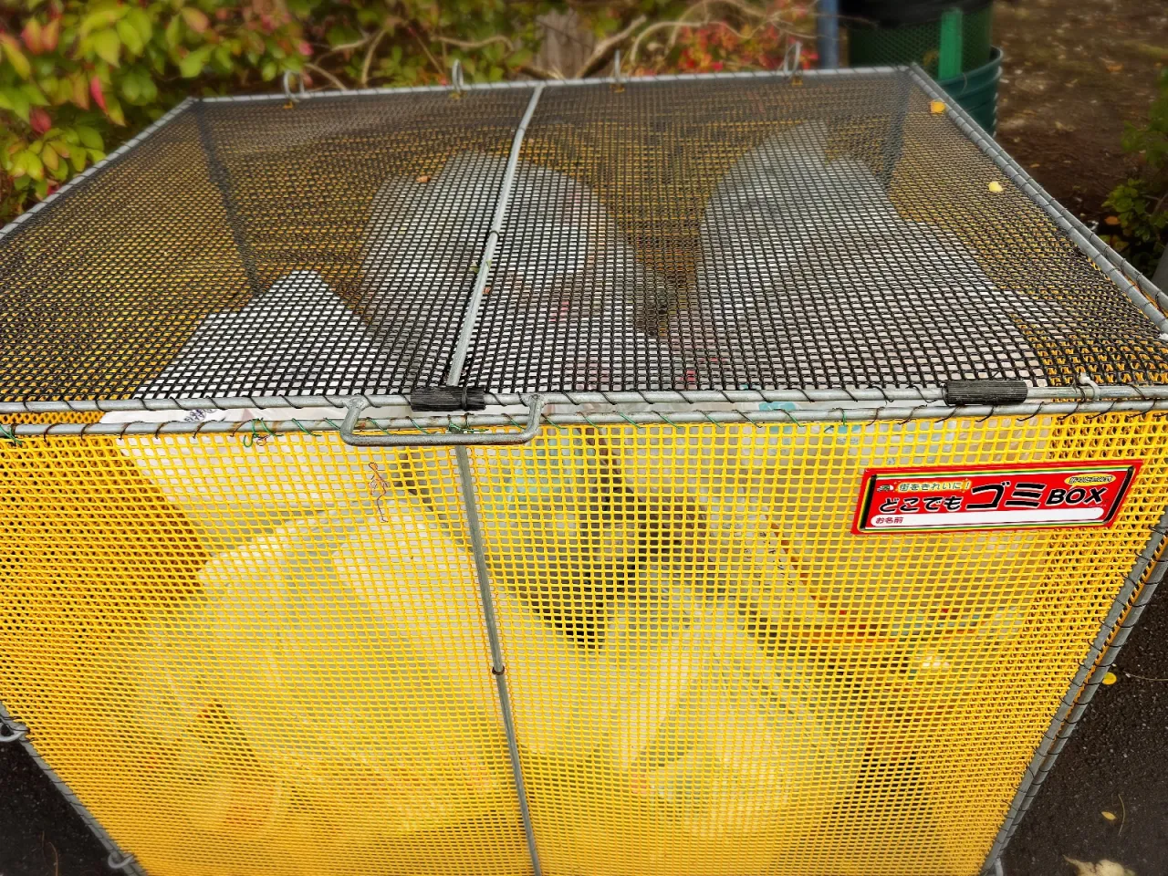 プラスチックゴミを減らそう作戦！