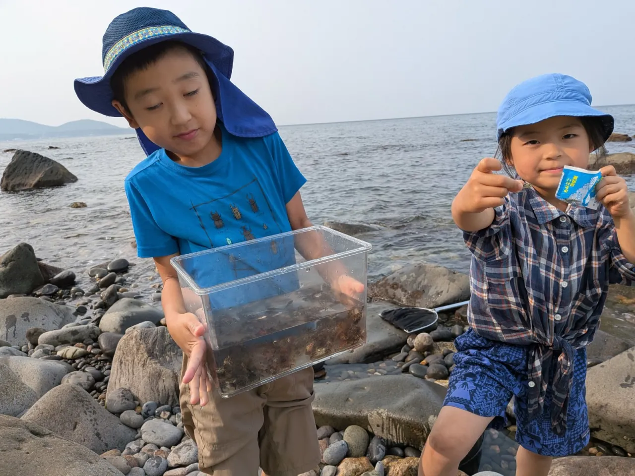 朝里海岸で磯遊び