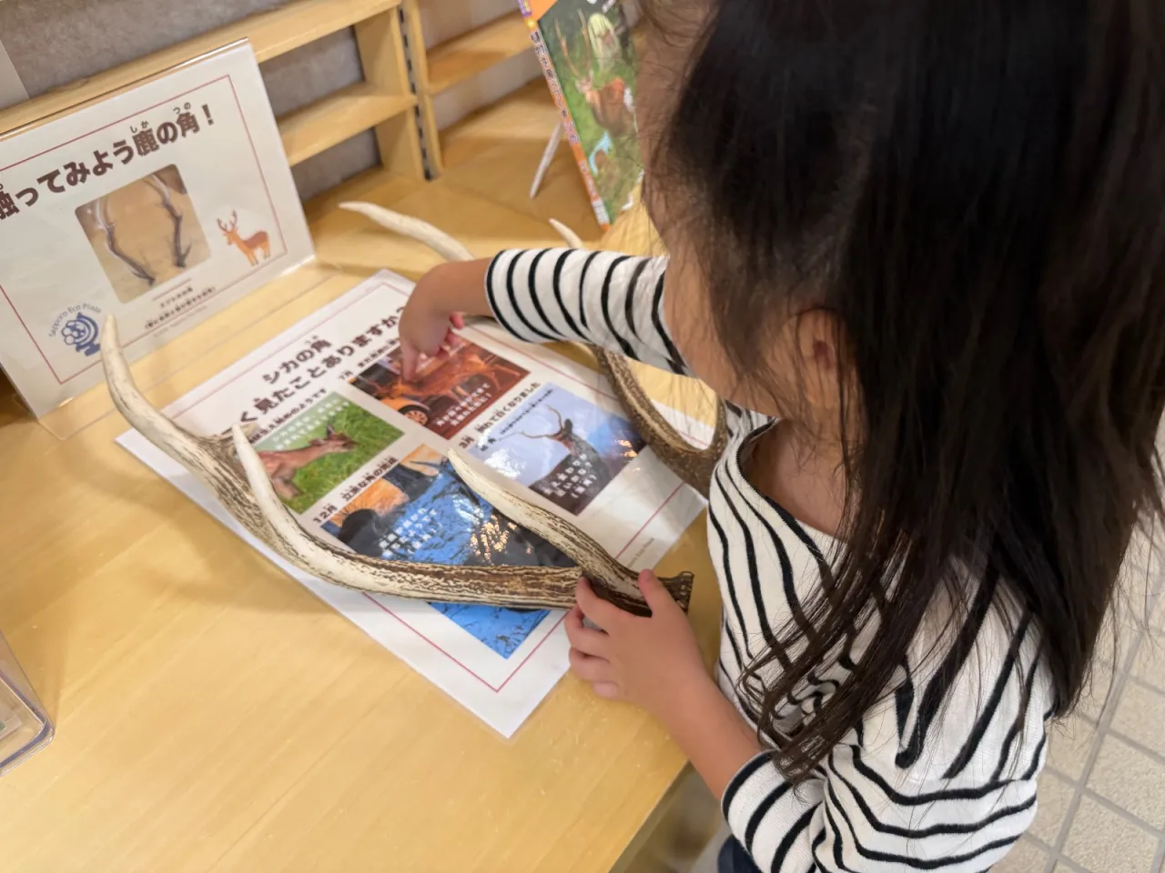 札幌市環境プラザで大はしゃぎ！遊びながら学ぶエコ体験