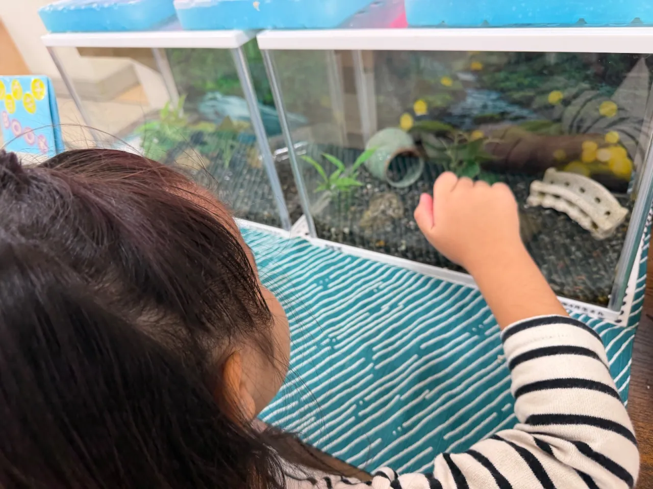 札幌市環境プラザで大はしゃぎ！遊びながら学ぶエコ体験