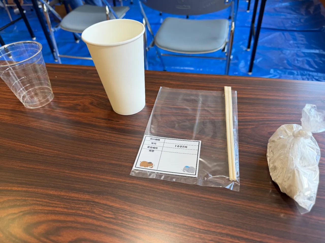 太古の歴史を体験！化石レプリカ作りに挑戦