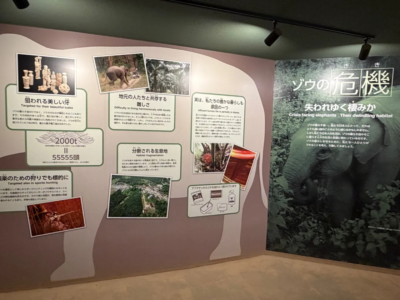 円山動物園で野生動物とSDGsについて学ぼう！